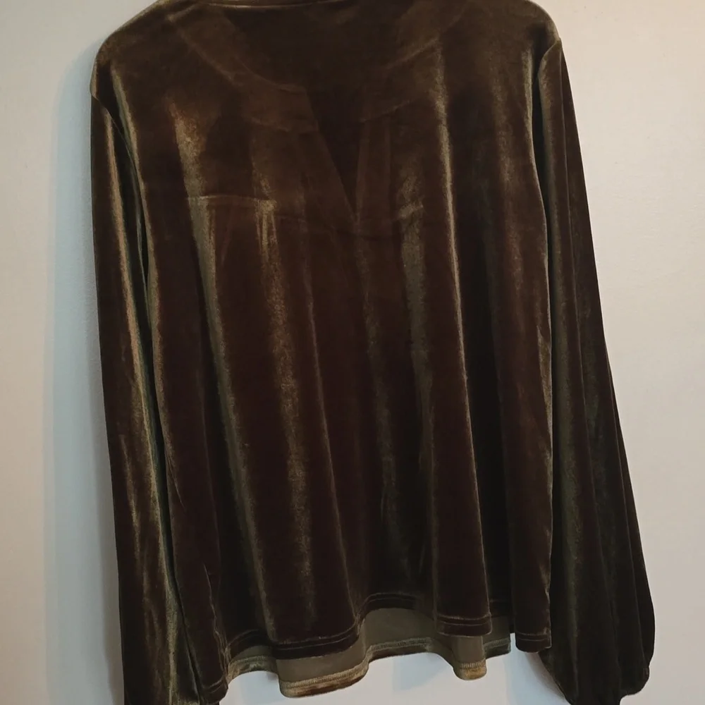 Velvet Balloon Sleeve Top - Picture 5 of 6